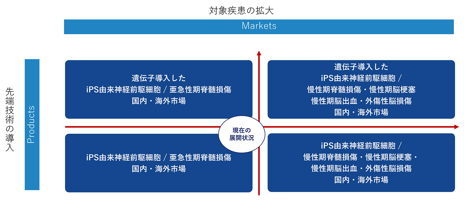 成長戦略｜再生医療事業