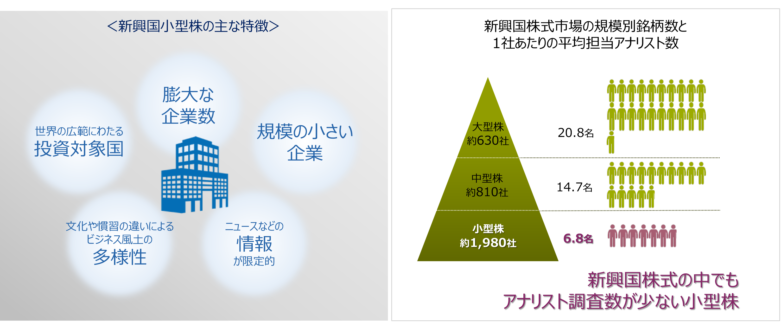 新興国小型株の主な特徴
