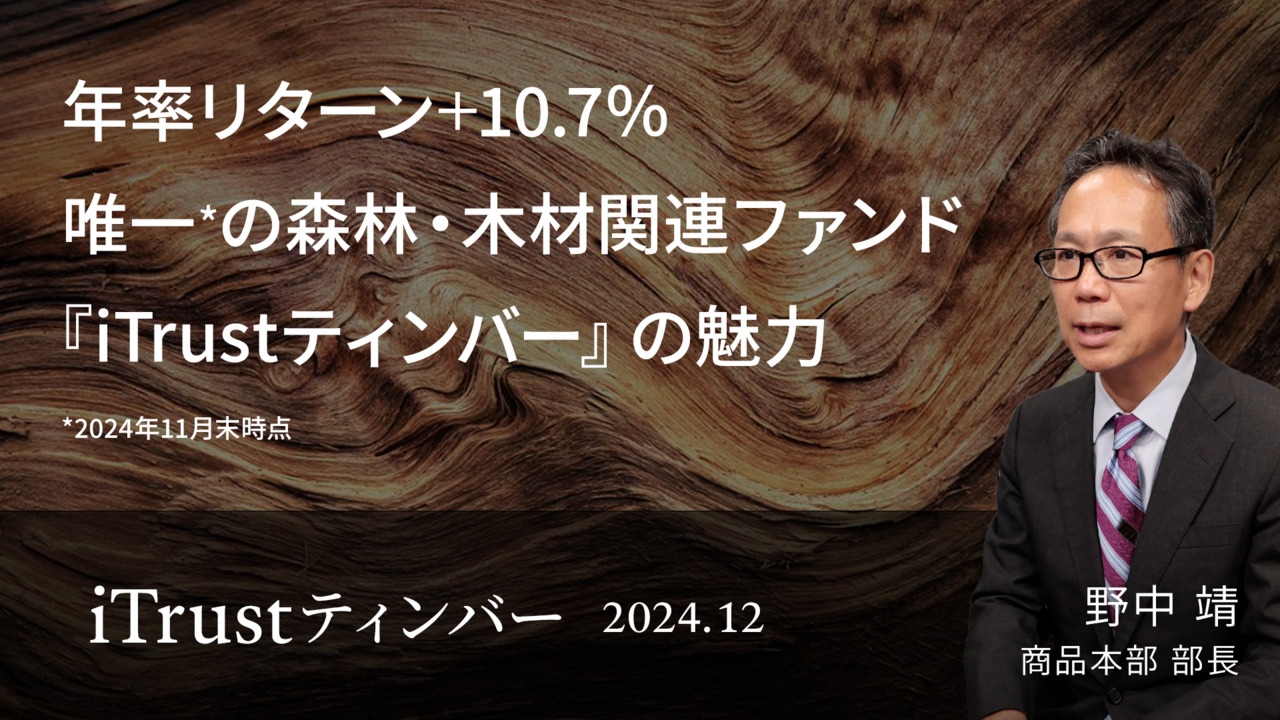 年率リターン＋10.7％ 森林・木材関連唯一⋆のアクティブファンド『iTrustティンバー』の魅力│野中 靖
